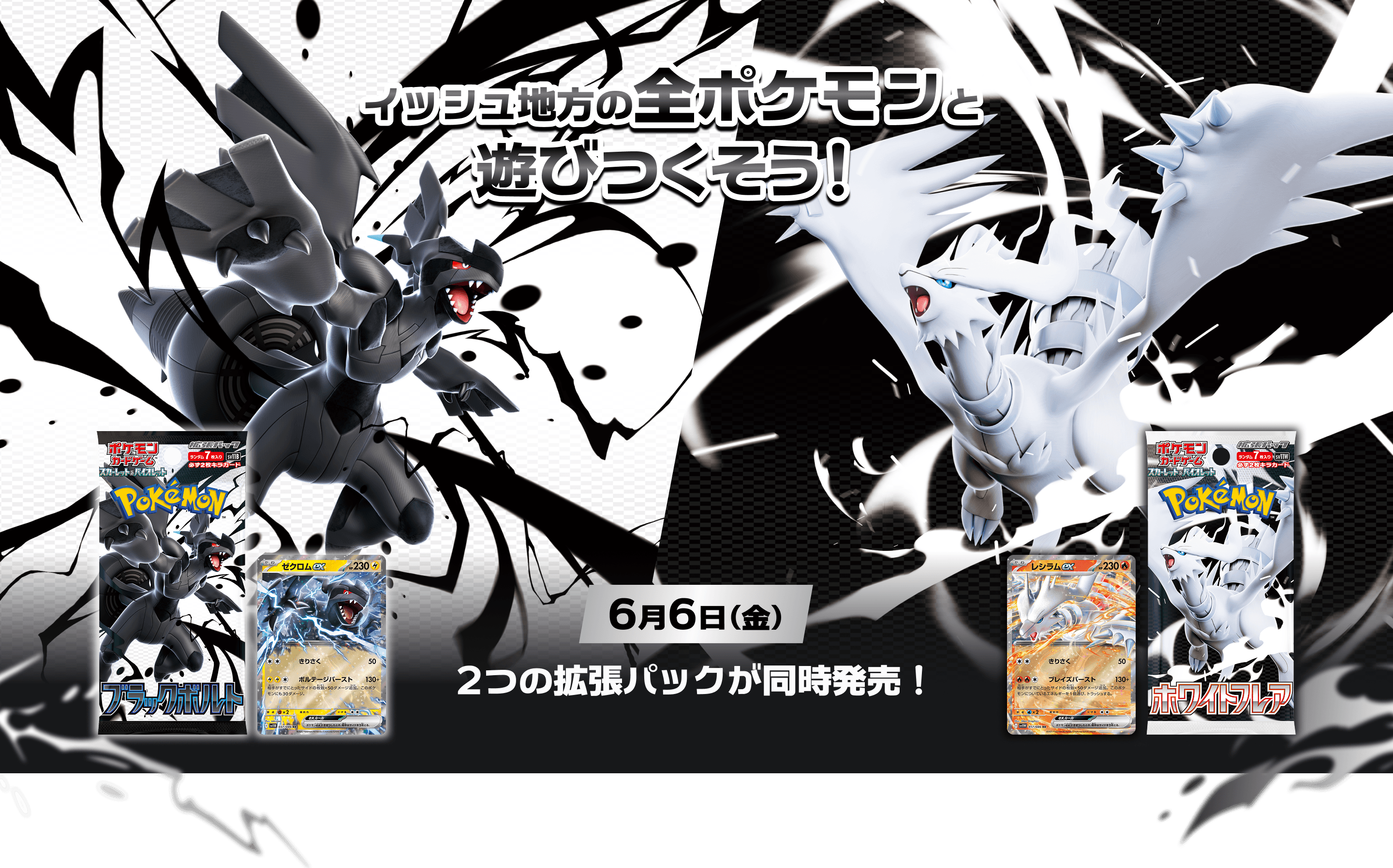 ポケモンカードコレクション